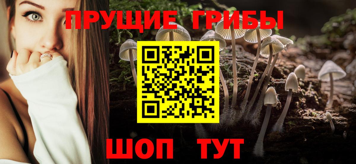 Псилоцибиновые грибы Cubensis Троицк